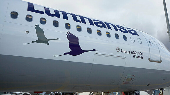 Kranich Sonderlackierung am Airbus A321-100 "Wismar"