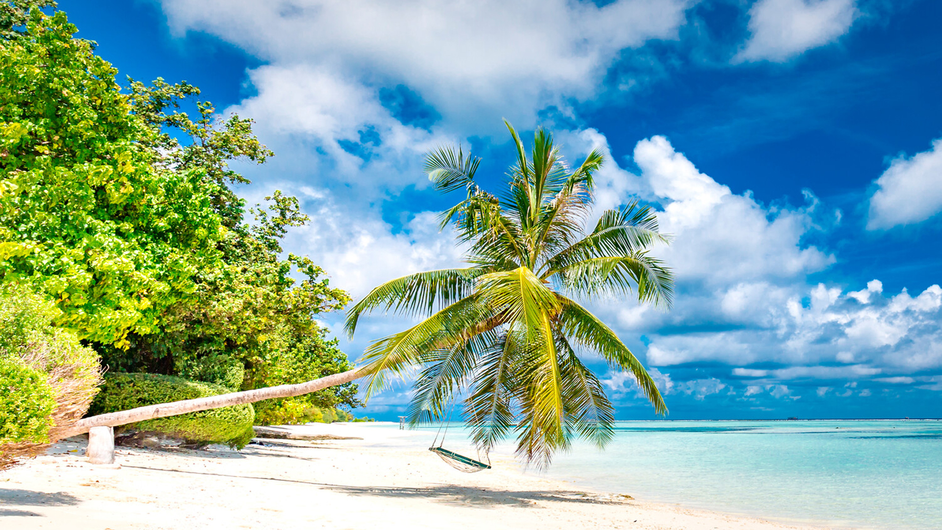 Caribbean Caribbean